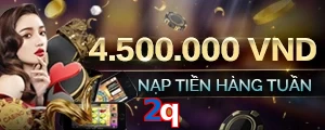 2q